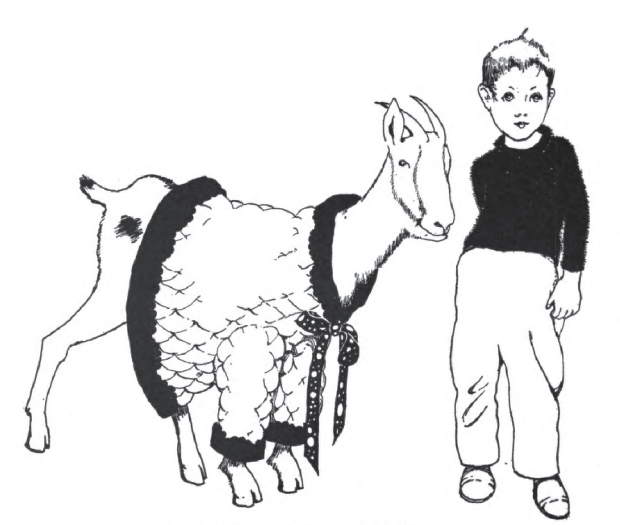 boy next to a goat wearing a sweater.