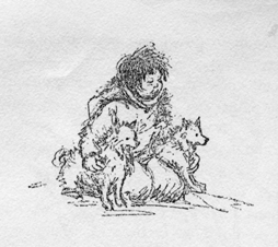 boy and dogs