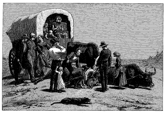 Group of people standing by a deceased ox still attached to covered wagon.