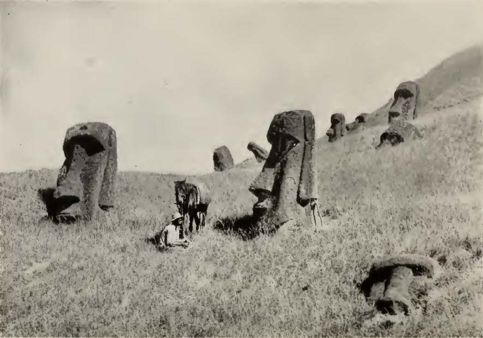 head-shaped stone statues standing in a field