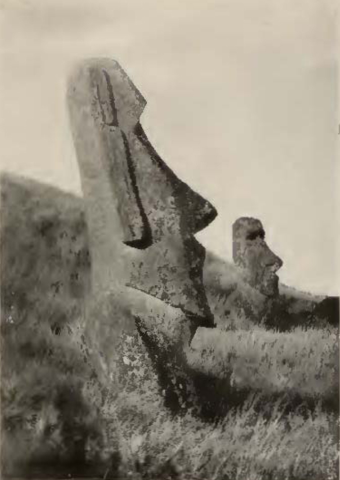 large head-shaped stone statue with rectangular earlobe
