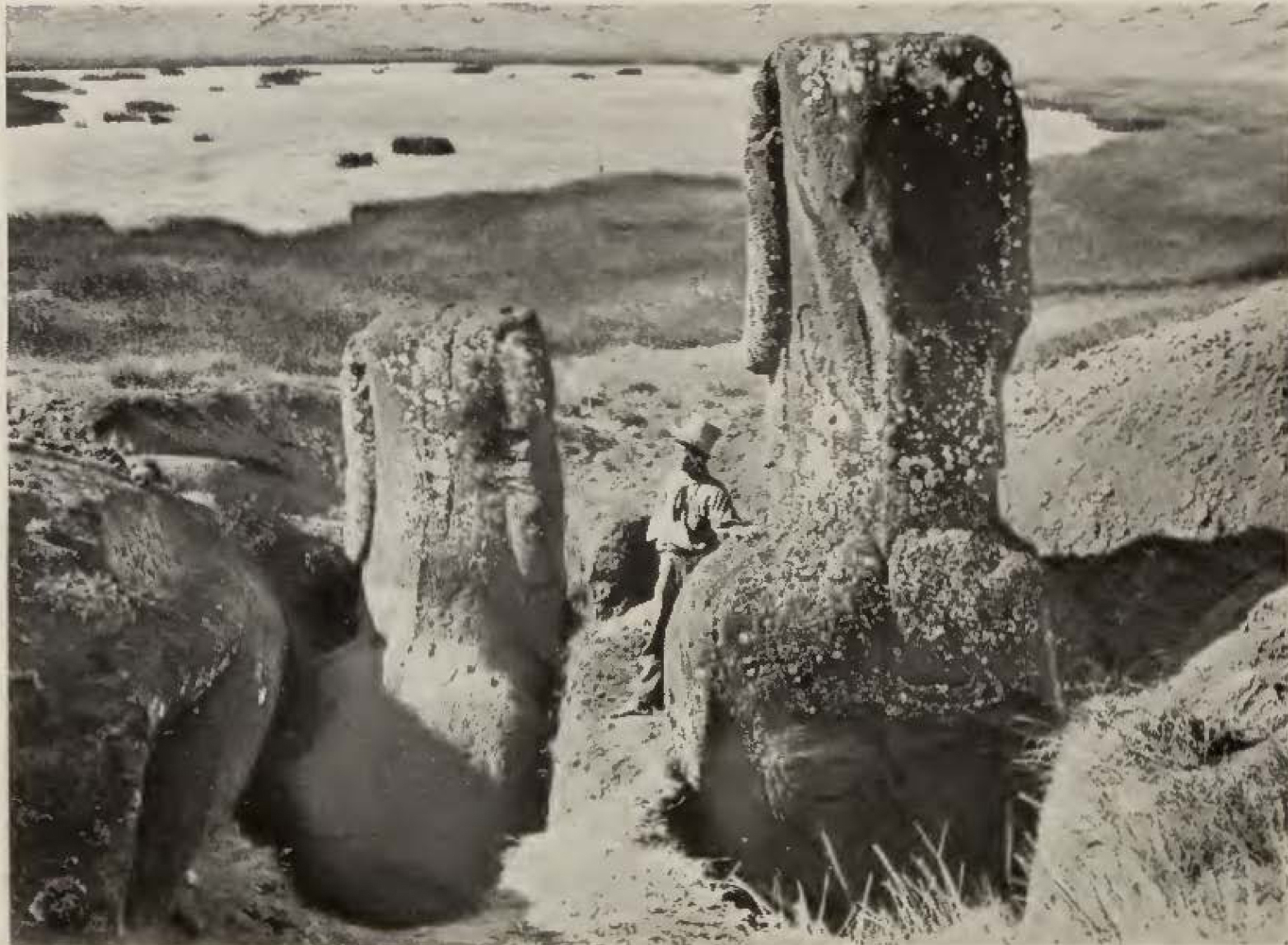back view of two stone statues in a field