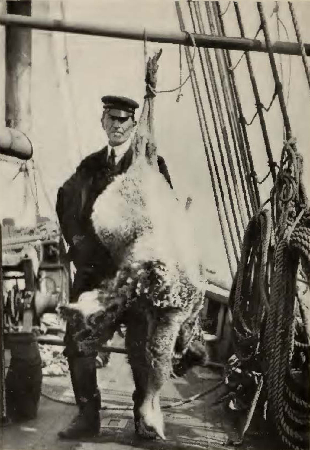 man standing behind ostrich tied up to ship by the legs
