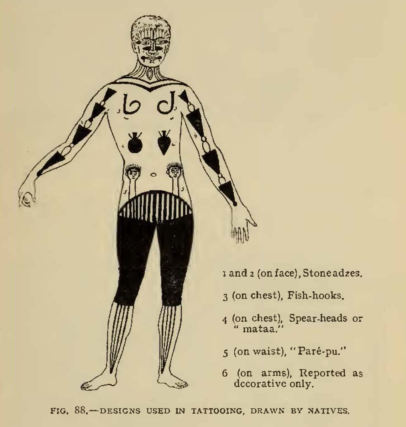 diagram showing traditional tattoo designs on the body