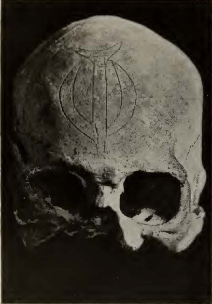 partial human skull with design incised