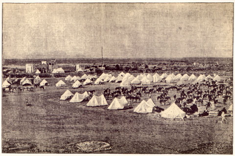 Photograph of tents and horses.