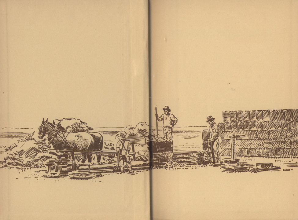 Two page spread, brown ink on cream endpapers, scene of a few farmers, two donkeys, and stacked boxes.