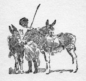 Boy and two donkeys